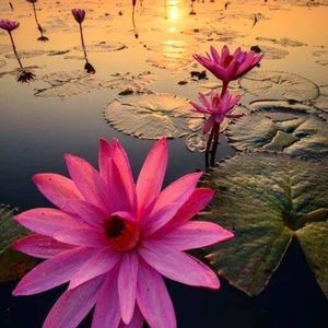 Meet your Posher, Ruby